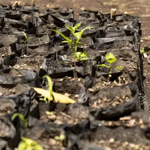 ITL-3PL-Proyecto-Iskali-03