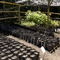 ITL-3PL-Proyecto-Iskali-04